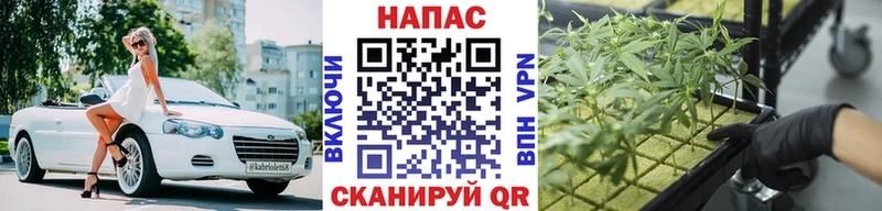 Каннабис VHQ  Вольск 